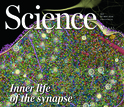 Science cover